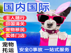 萨尔图航空空运国际宠物托运 【国
